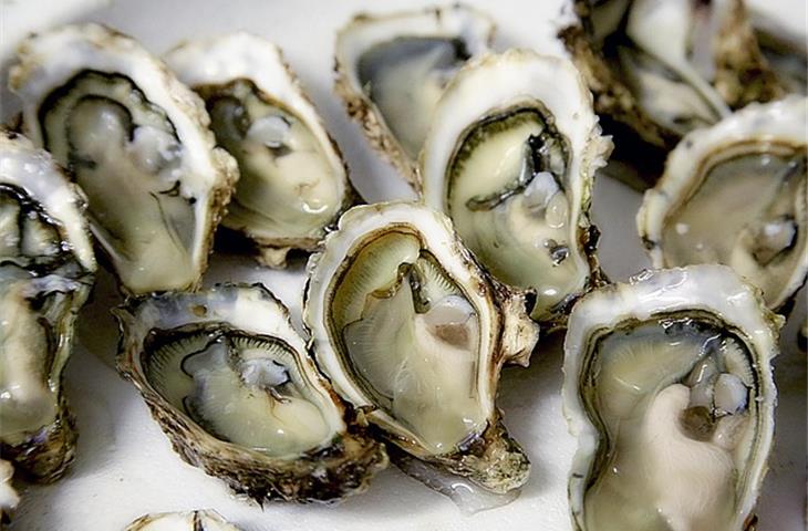 Oyster Perpetual 2019: A Journey into Luxury and Innovation